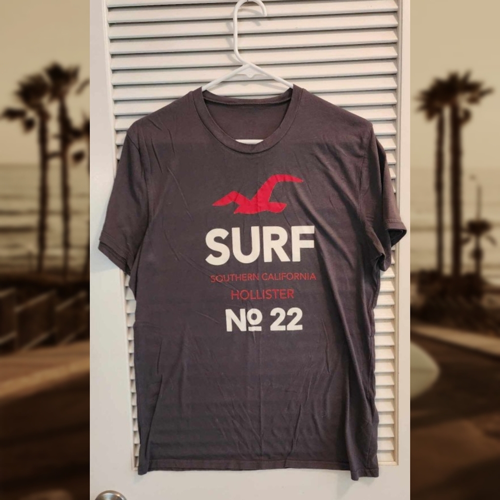 Hollister surf gray mens MEDIUM t-shirt